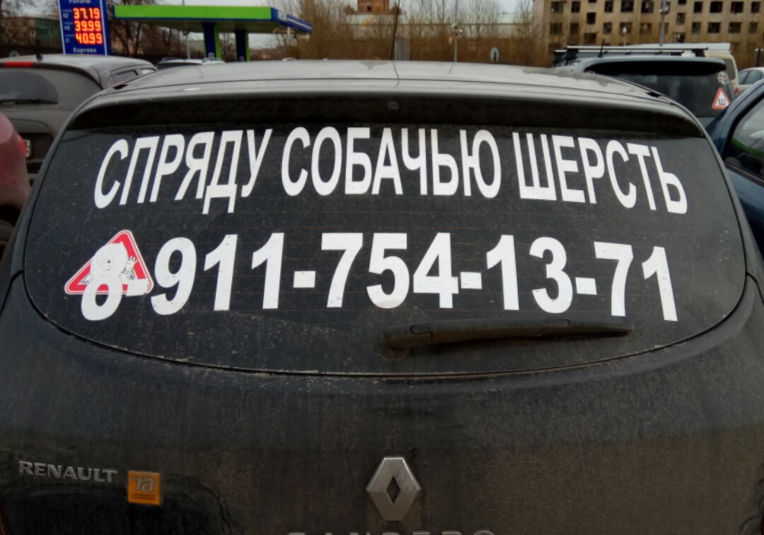 Спряду собачью шерсть